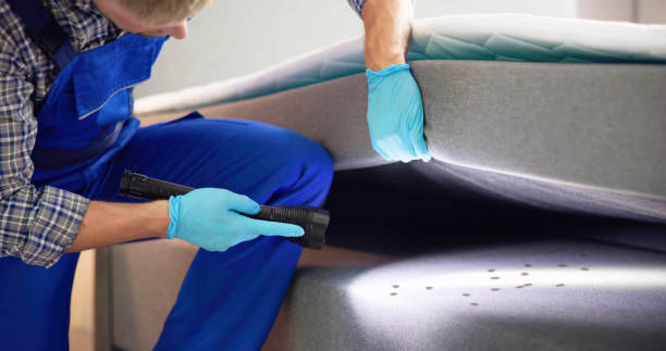 Best Termite Control Services  in Vincent, CA