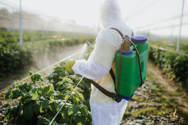 Best Pest Removal Services  in Vincent, CA